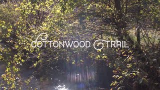 Medium Format in the Woods | Mamiya M645