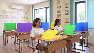 PVC privacy shield - Assorted Colors