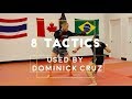 Dominick Cruz's 8 BEST TACTICS