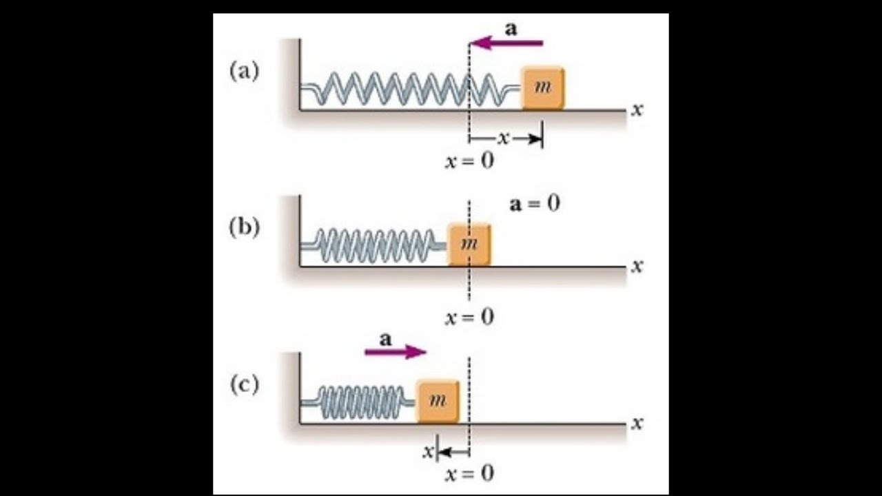 unit # 10 ||Simple Harmonic motion and waves : Topic:: Mass attached to ...