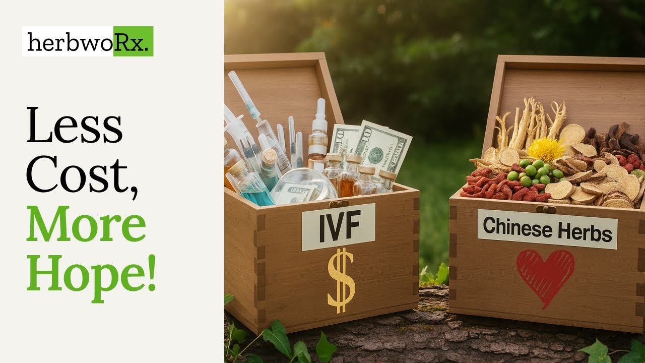 IVF vs  Chinese Herbs  Which path is best for you