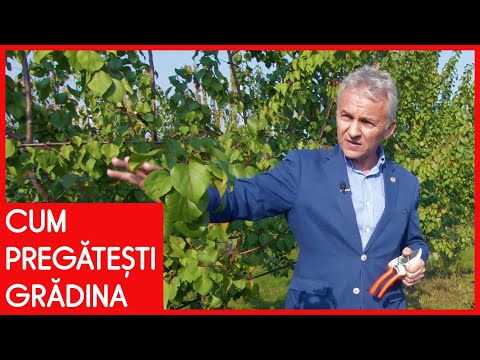 Video: Gradina De Iarna