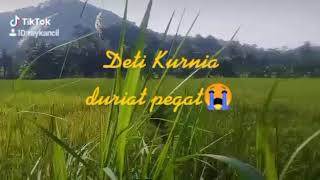 deti kurnia