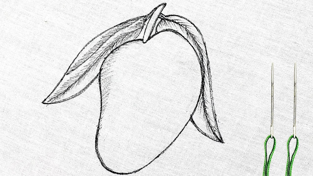 creative mango embroidery designs amazing fruits embroidery pattern