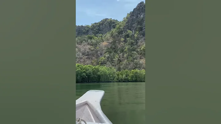 Eagle Feeding in Kilim Geoforest