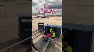 Look How Do Baggages Get Loaded To Flights