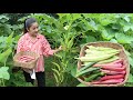 3 colors of okra in my vegetable garden / Yummy okra recipe / Cooking with Sreypov