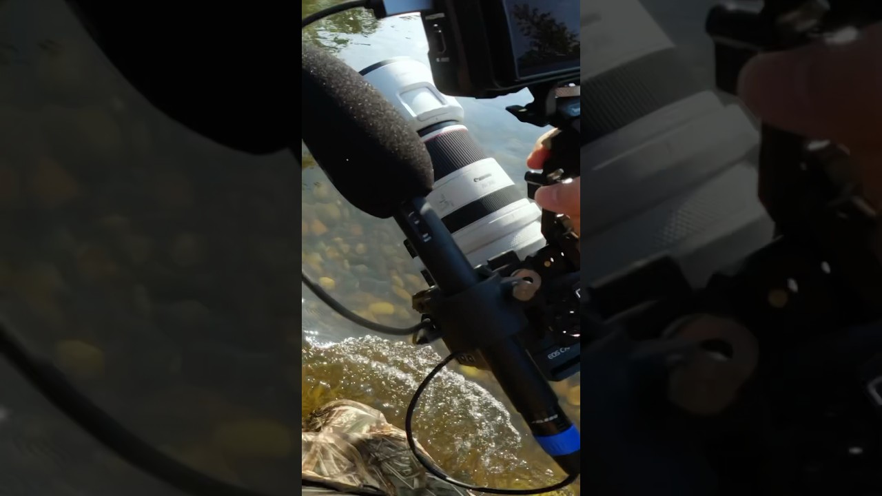 Why use a lens hood? DON'T RUIN YOUR LENS!