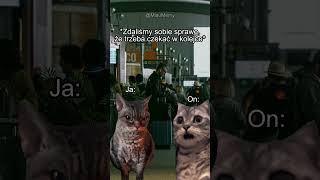 KOCIE MEMY 🐱POV: Lecisz ze swoim facetem na wakacje #catmemes #koty #memy #relatable #relacje