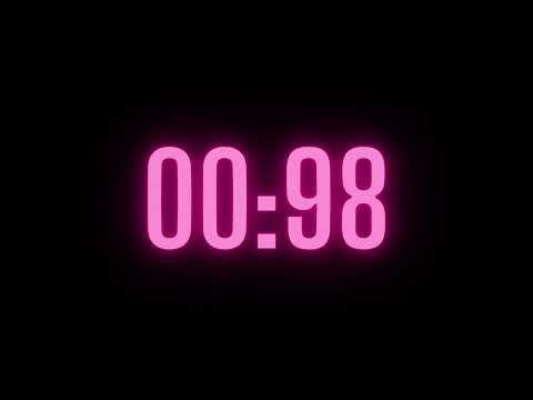 126 Second Timer with Alarm