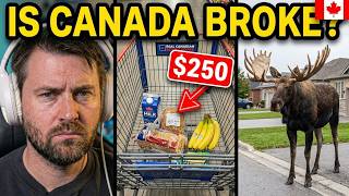 $250 Groceries, a Walmart Stalker & a Moose?! 🇨🇦