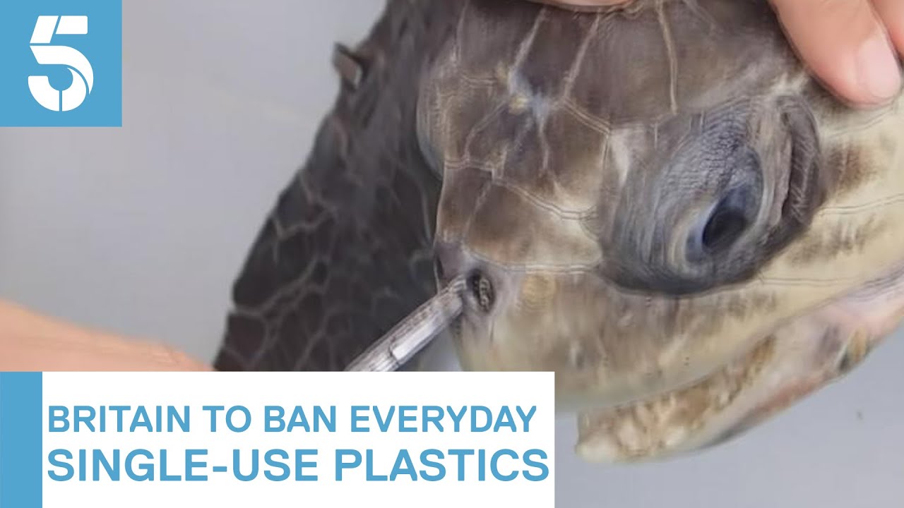 Plastic straws and cotton buds among singleuse plastics to be banned