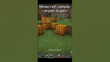 Minecraft simple carpet duper!  #dupes #minecraft #minecraftshorts #minecrafttutorial