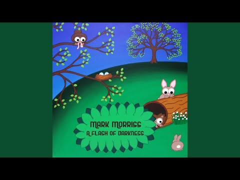 Mark Morriss — A Flash of Darkness