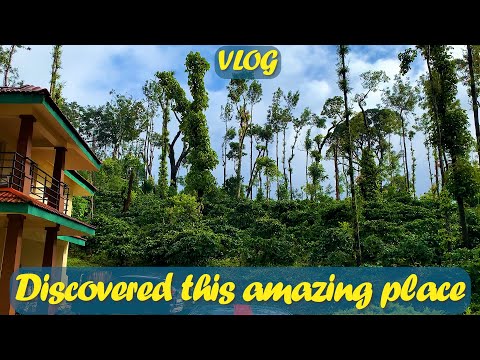 Resort in forest | Coorg trip from bangalore