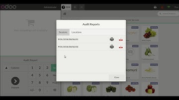 Odoo POS Audit Report