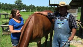 LW Paul Living History Farm Conway SC