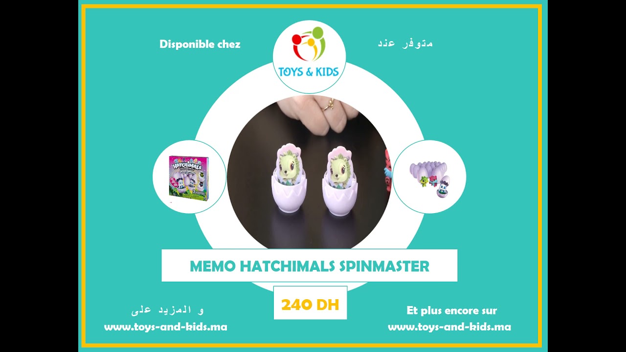 video JEU DE MEMOIRE MEMO HATCHIMALS SPINMASTER