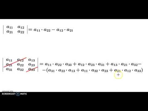 Vídeo: Com Es Calcula El Determinant D’una Matriu