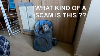 I am speechless - backpack training my cat WORKS by Taz 14,139 views 3 months ago 3 minutes, 3 seconds