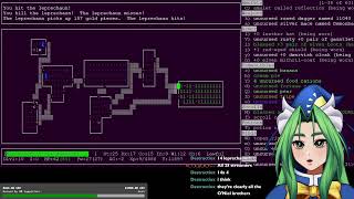 45:00 - 48:00, HakureiDeity, NetHackathon Spring 2026