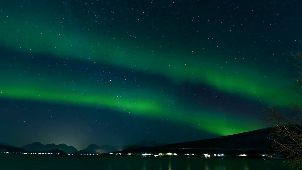 HID (HPS & MH) vs LED