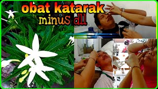 Kitolod flower | Benefits of star flower | Jangar flower