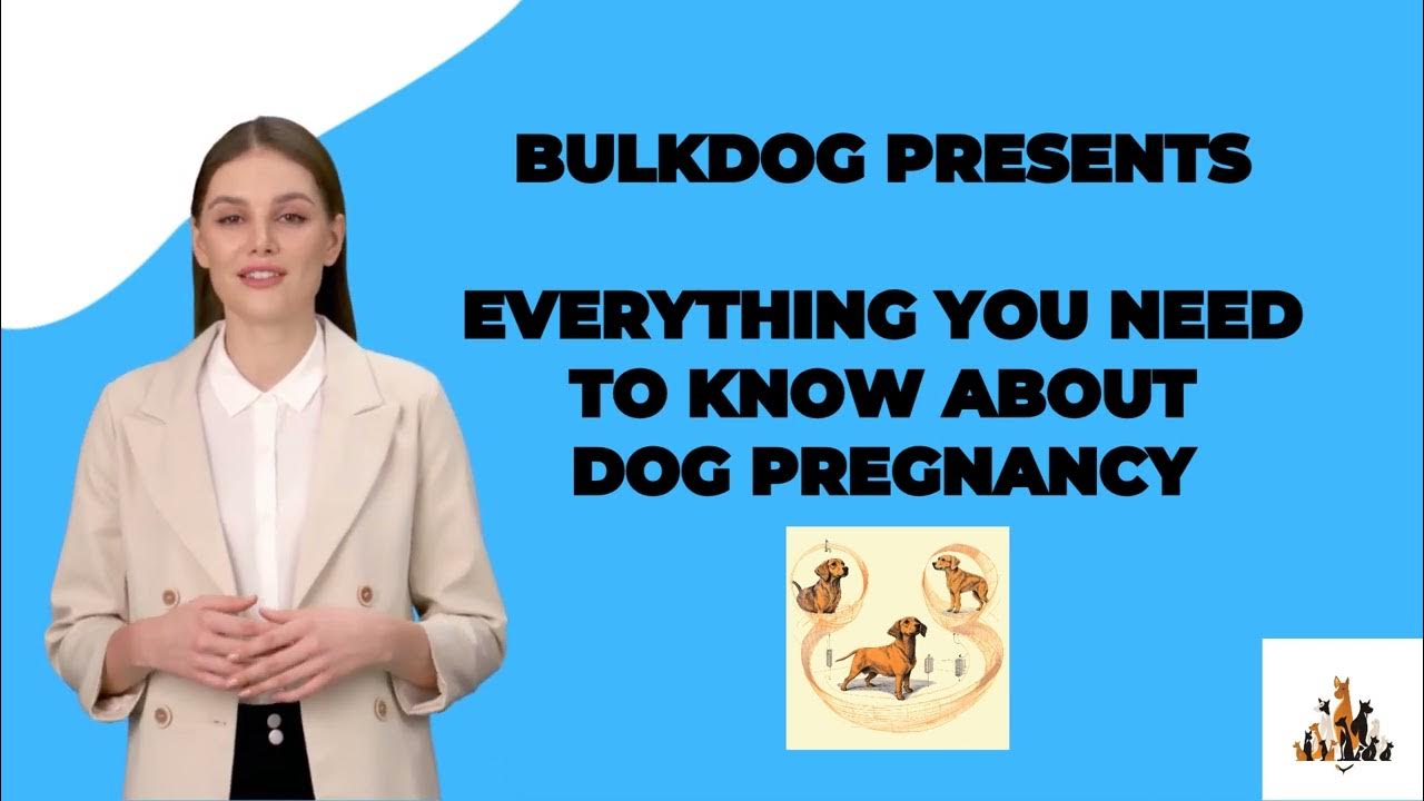 🐕🐾 Dog Pregnancy Calculator Everything You Need To Know About Dog