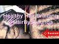 How to Properly Braid for Hair Growth | @HairByShaunda