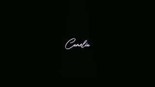 Download Lagu Camelia || Story' WA || MAF Download Lagu Camelia || Story' WA || MAF