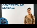 Concepto de matriz