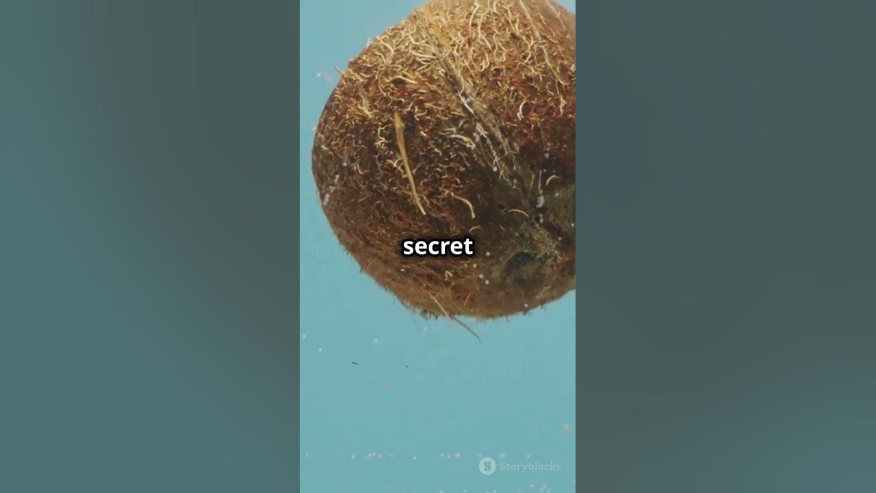 why-does-coconut-have-water-inside-youtube