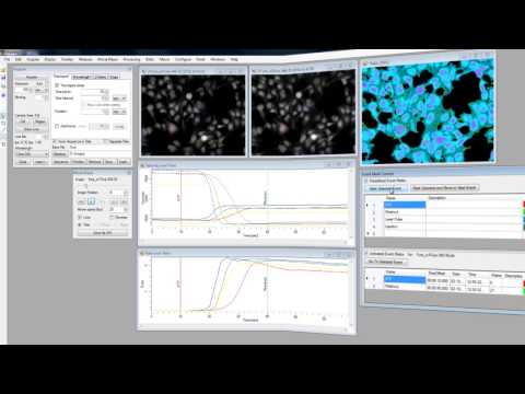 VisiView Application Module: Online Ratio