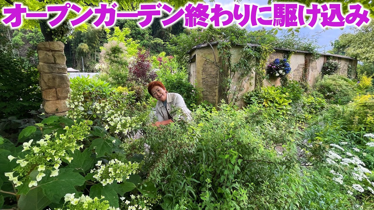 【花の谷オールドビレッジ】2025春のオープンガーデンを閉園後に日が暮れる前に駆け足で紹介【オープンガーデン】