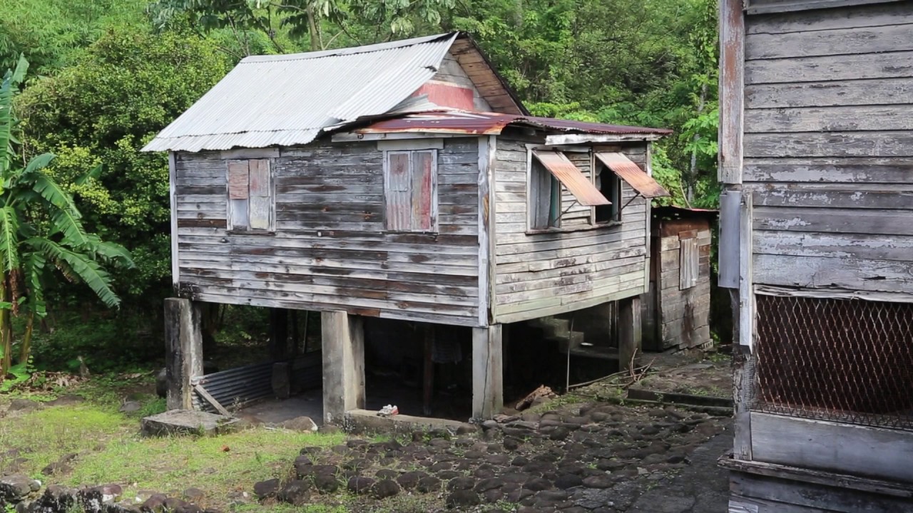 Grenade Dougaldston estate / Grenada Dougadlston estate YouTube