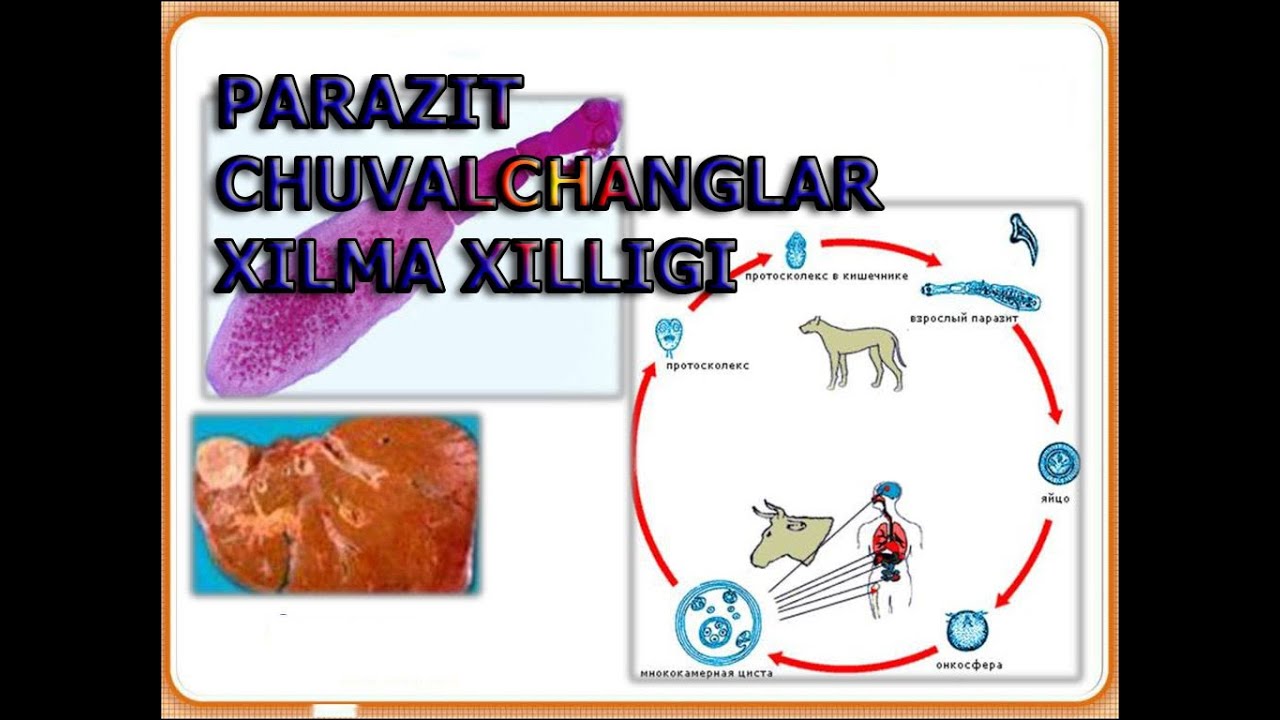 Sliding porno filmlar onlayn lesbiyan tortishish davom etdi