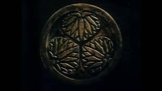 あゝ人生に涙あり  (水戸黄門)  里見浩太朗・横内正