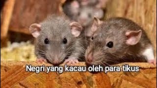 komentarku tentang negri ini