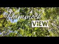 ASMR View from a hammock | Relax and calm down in the Forest