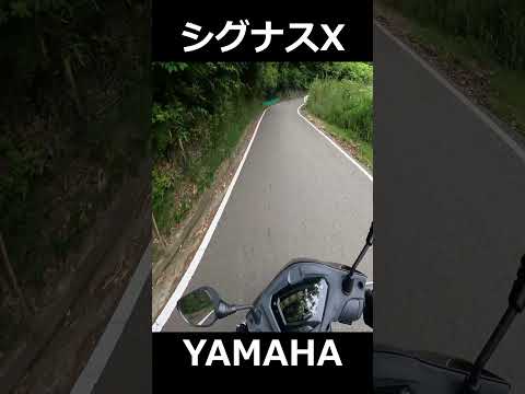 YAMAHA シグナスx 第五世代の加速音 #shorts #yamaha #cygnus #シグナスx