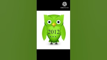 Evolution of the DUOLINGO Bird