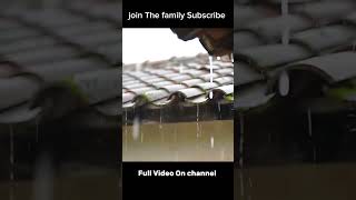 Real Rain Sound #rain #sleep