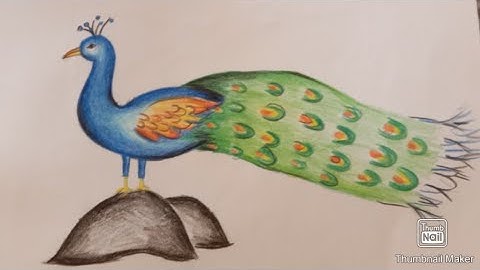 मोर का चित्र आसानी से बनाना सीखे // how to Draw Peacock from 2 number step by step learning Drawing