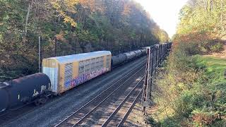IMG 7408