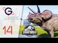 Jurassic world evolution fr 14  isla pena  la plus petite le 