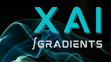 Learn Integrated Gradients w/Colab: Identify significant Pixels for AI Object Recognition - 2022