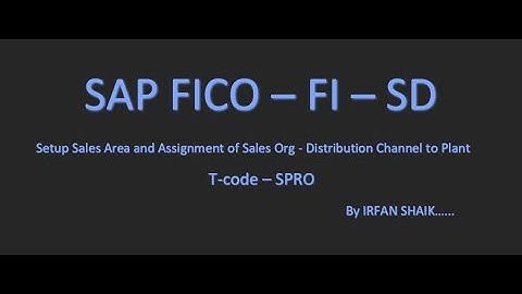 Setup Sales Area and Assignment of Sales Org & Distribution Channel to Plant - Video 3