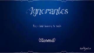Ignorantes by bad bunny \& sean (slowed)