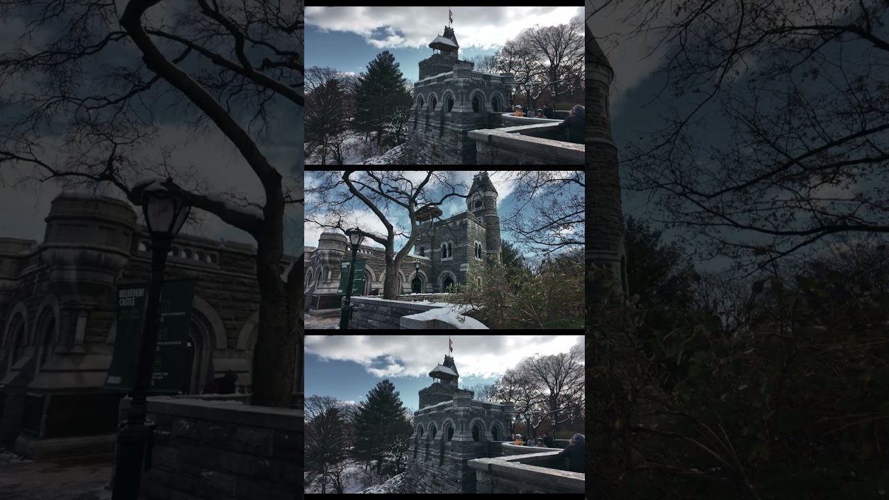 Snow Day Central Park Manhattan New York City thumbnail