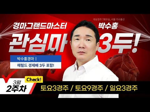 [경마]3월2주차 관심마 3두 #박수홍경마 #서울경마 #헤럴드경재배 대상경주 